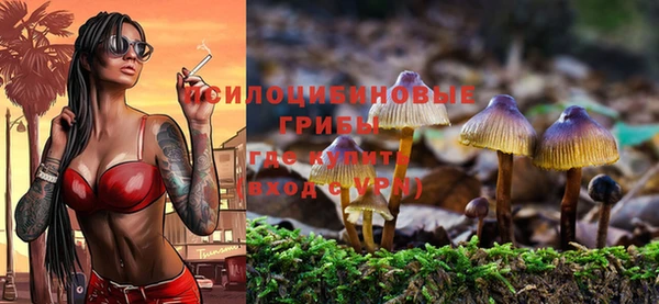 эйфоретик Медвежьегорск