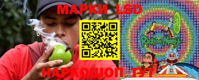 гидра Волгодонск