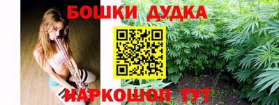 гидра Волгодонск