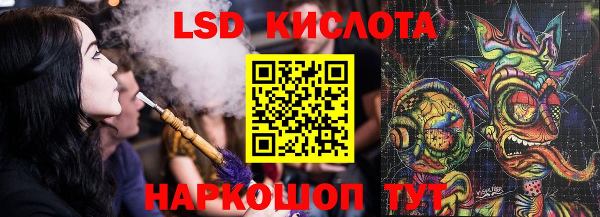 Галлюциногенные грибы Кизилюрт