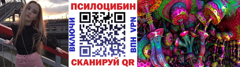 Псилоцибиновые грибы MAGIC MUSHROOMS OMG зеркало дарк нет Telegram Кизилюрт