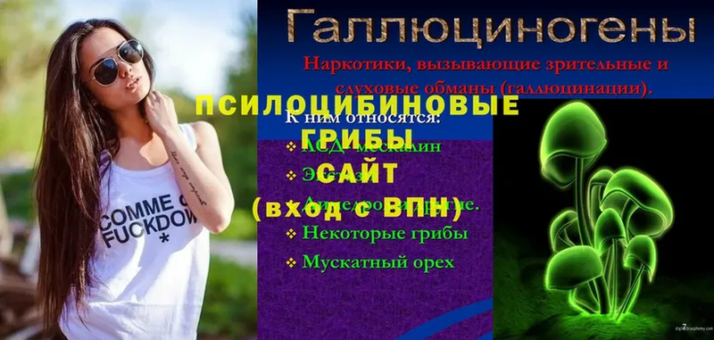 как найти закладки  Кизилюрт  Галлюциногенные грибы мицелий 