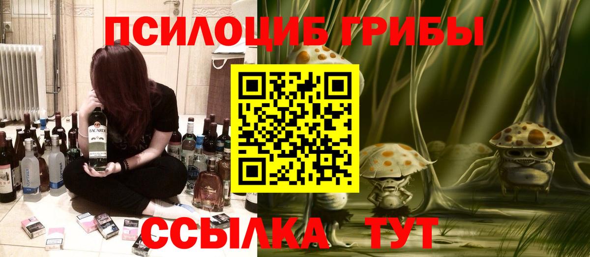 Галлюциногенные грибы Psilocybine cubensis  Кизилюрт  Псилоцибиновые грибы Psilocybe 